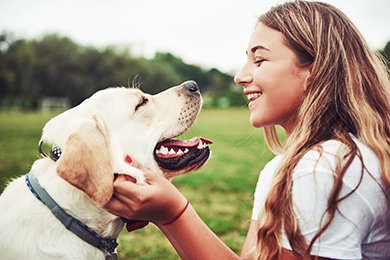 Hunde & Hundehalter perfekt geschützt: Hunde Vollkaskoversicherung inkl. Hundehaftpflicht